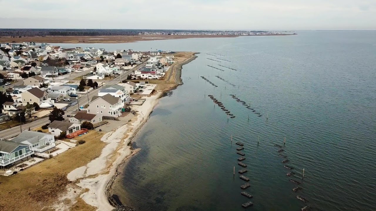 Community-Based Restoration Project Aims to Protect Forked River Beach