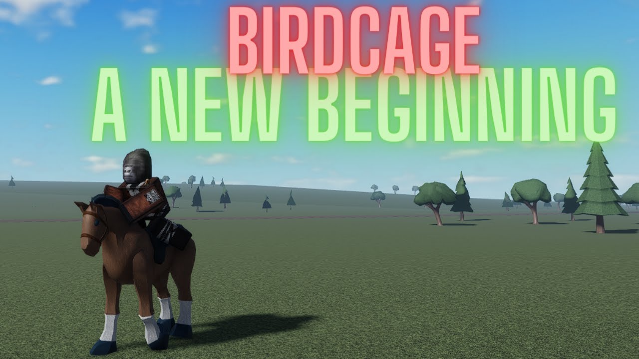 A New Beginning Birdcage| Initiate  + Basic Training