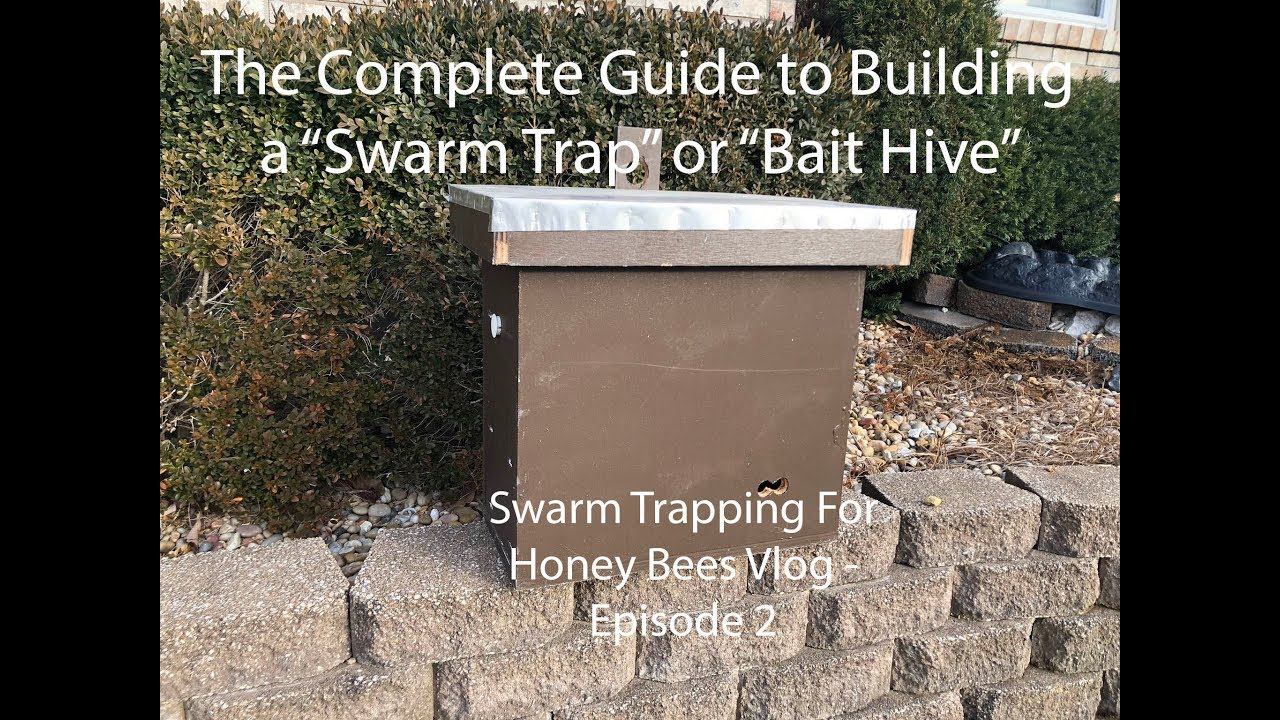 The Complete Guide to Building a Swarm Trap or Bait Hive - Episode 2