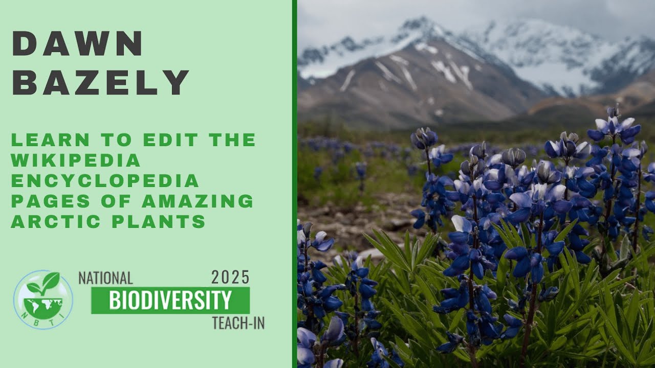 Dawn Bazely Learn to edit the Wikipedia Encyclopedia pages of Amazing Arctic Plants