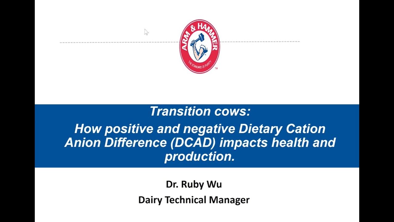 Transition cows: How positive and negative DCAD impacts health and production.