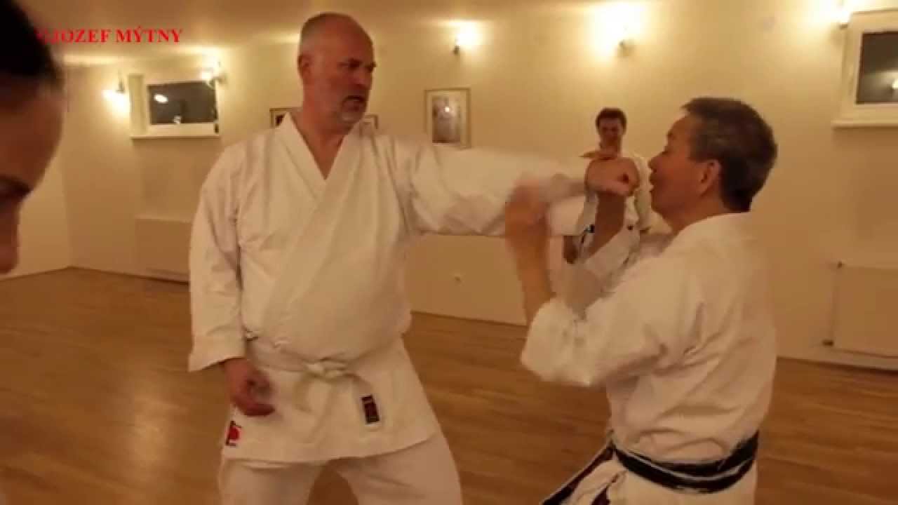 Training with shihan Takeji Ogawa (JOZEF MYTNY)