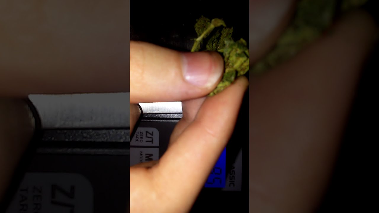 Super Silver Haze Cannabis Review #1