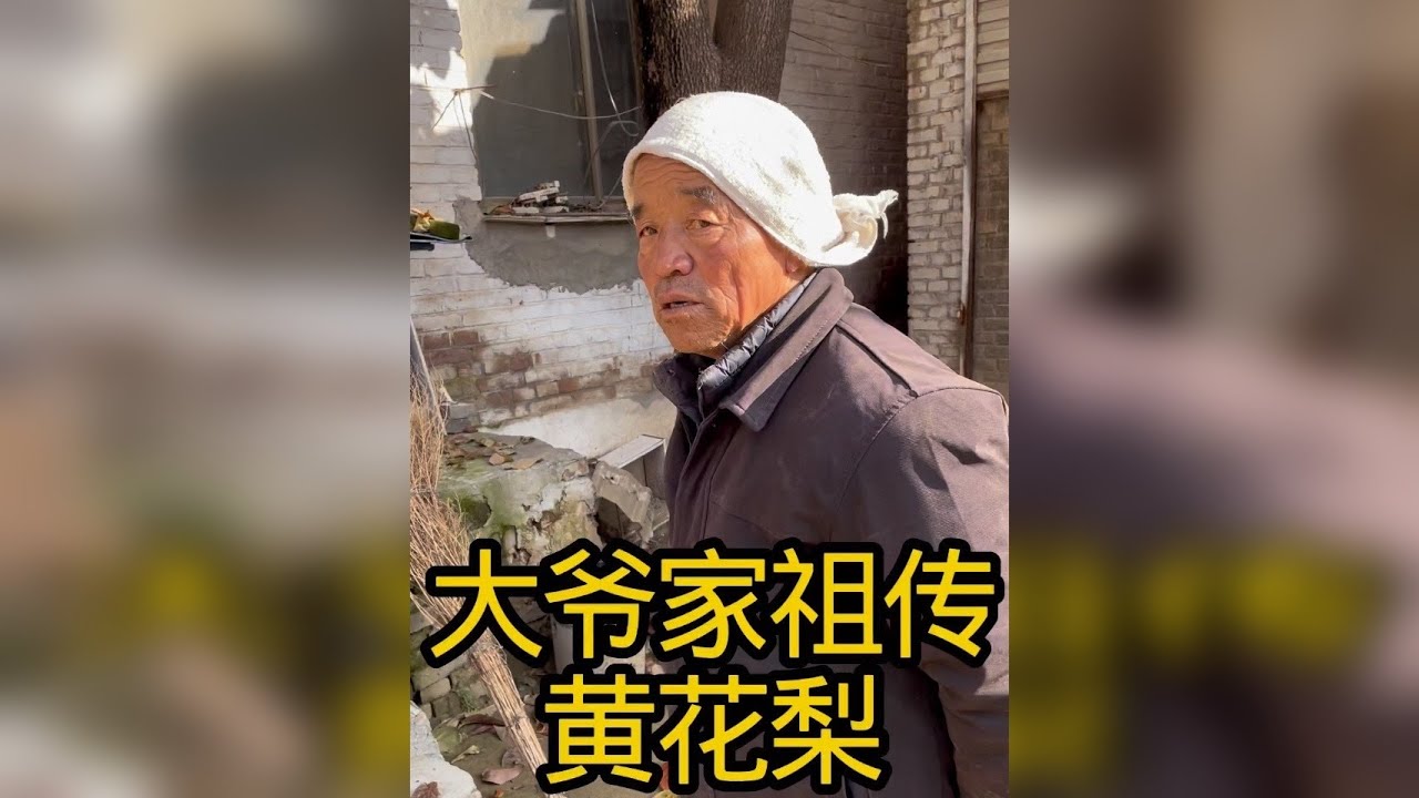 下乡收货大爷家黄花梨
