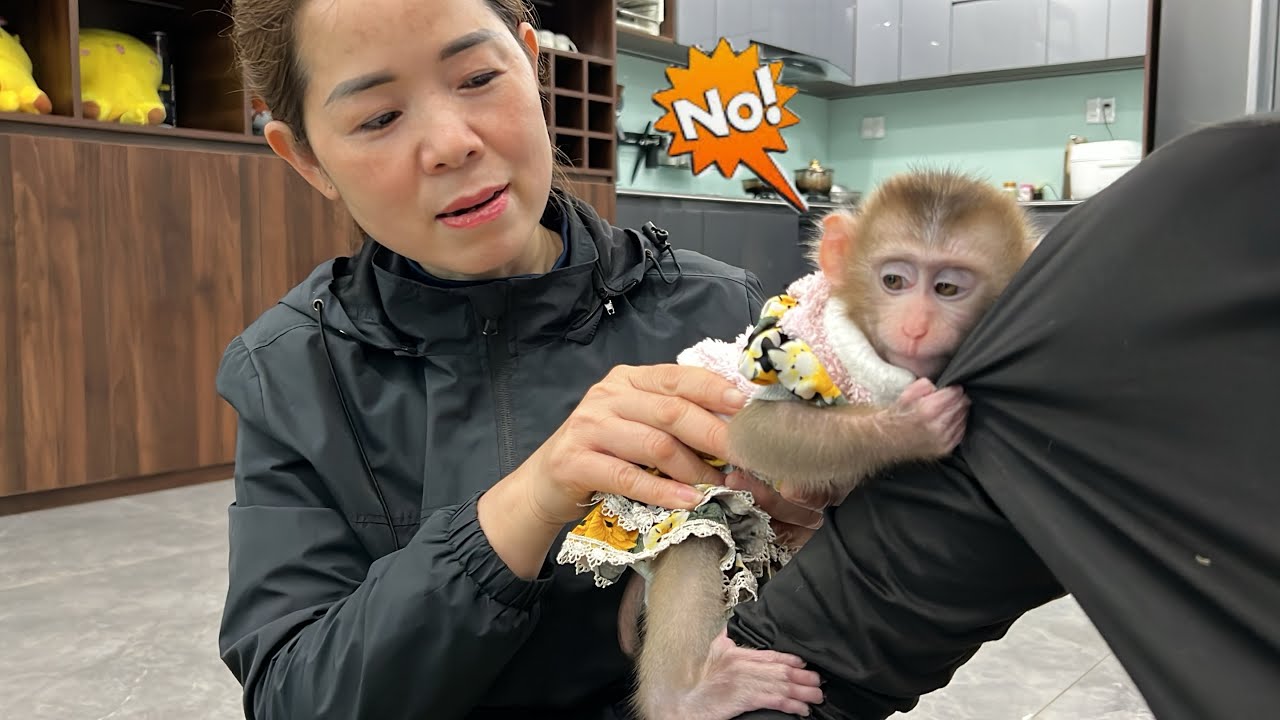 Grandma burst into tears when she had to leave the poor little monkey Tina