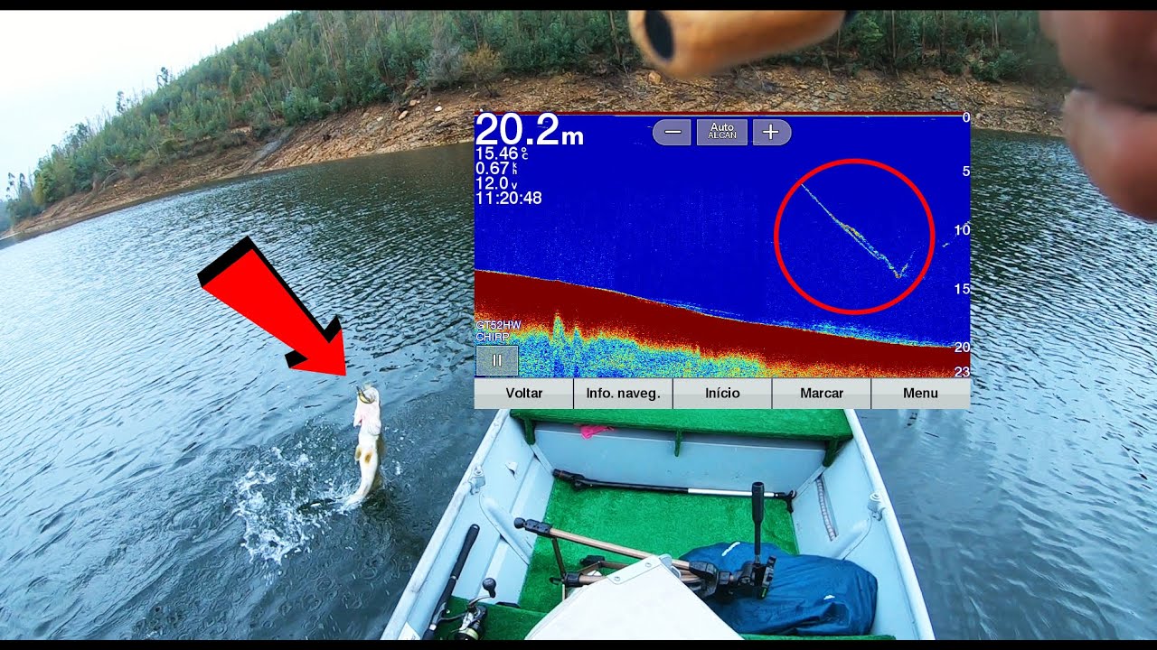 PESCA: Isto devia ser ILEGAL !!