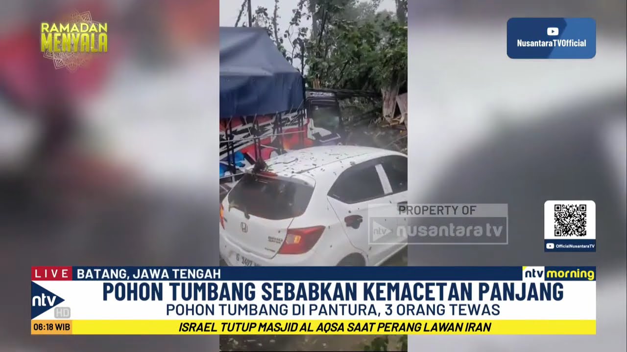 Ngeri! Angin Kencang Tumbangkan Puluhan Pohon di Jalur Pantura, 3 Orang Tewas | NTV MORNING