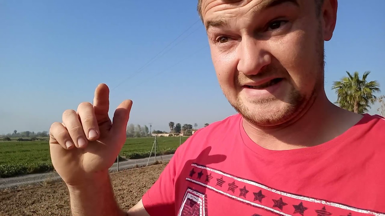 starting work on our free land in Spain #homesteading #farmlife #freeland #growyourown #spring