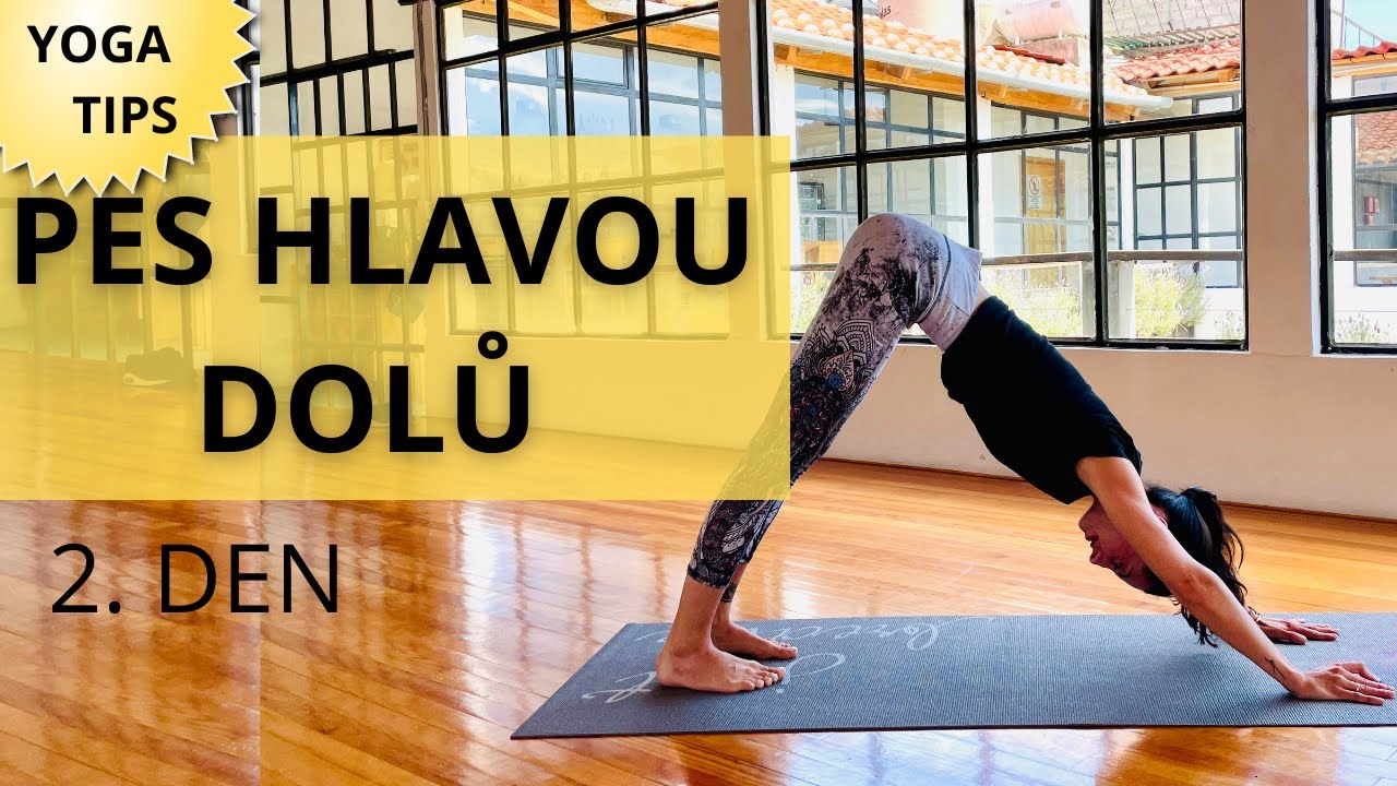 JAK SPRÁVNĚ PROVÉST POZICI PSA HLAVOU DOLŮ? I JÓGOVÉ TIPY