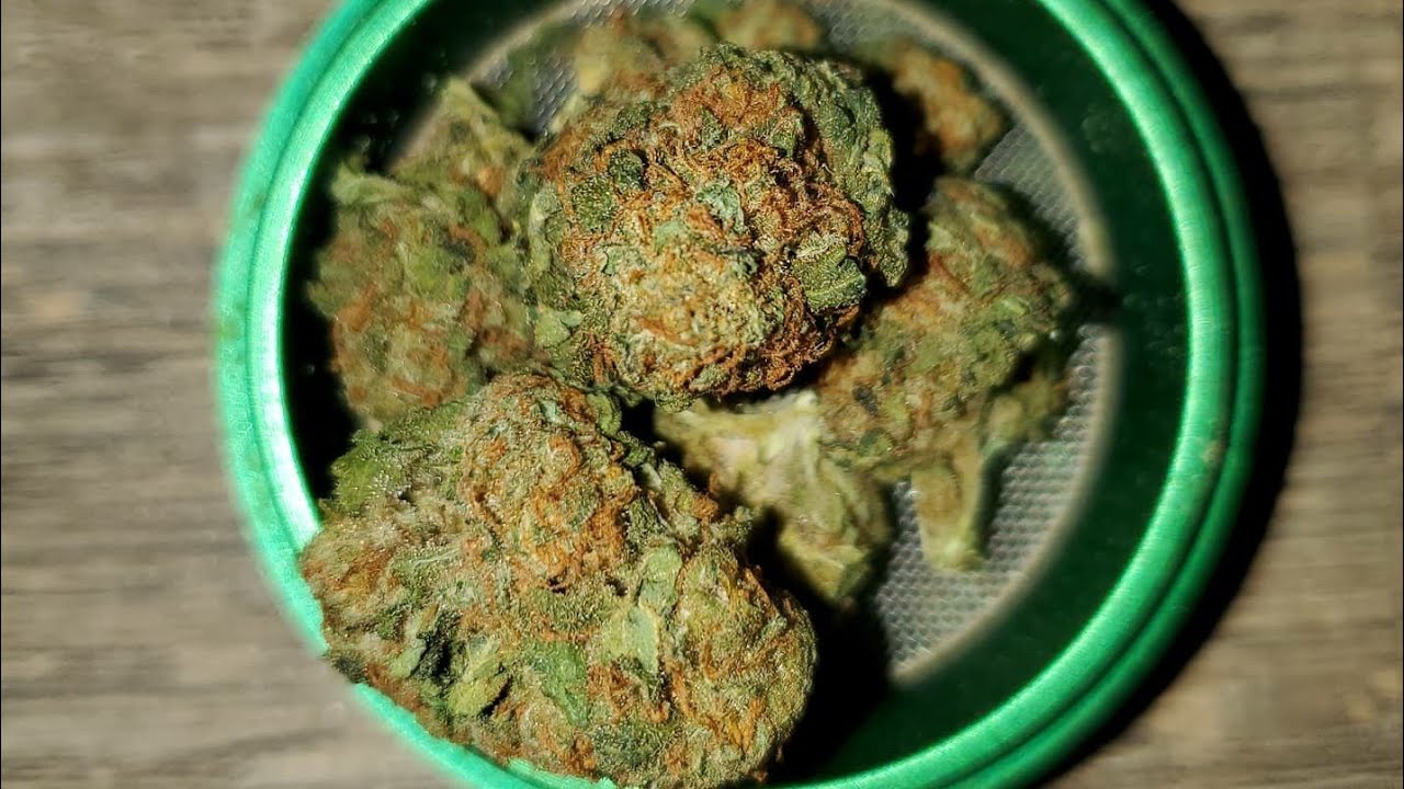 Strain Review Penelope By Tweed