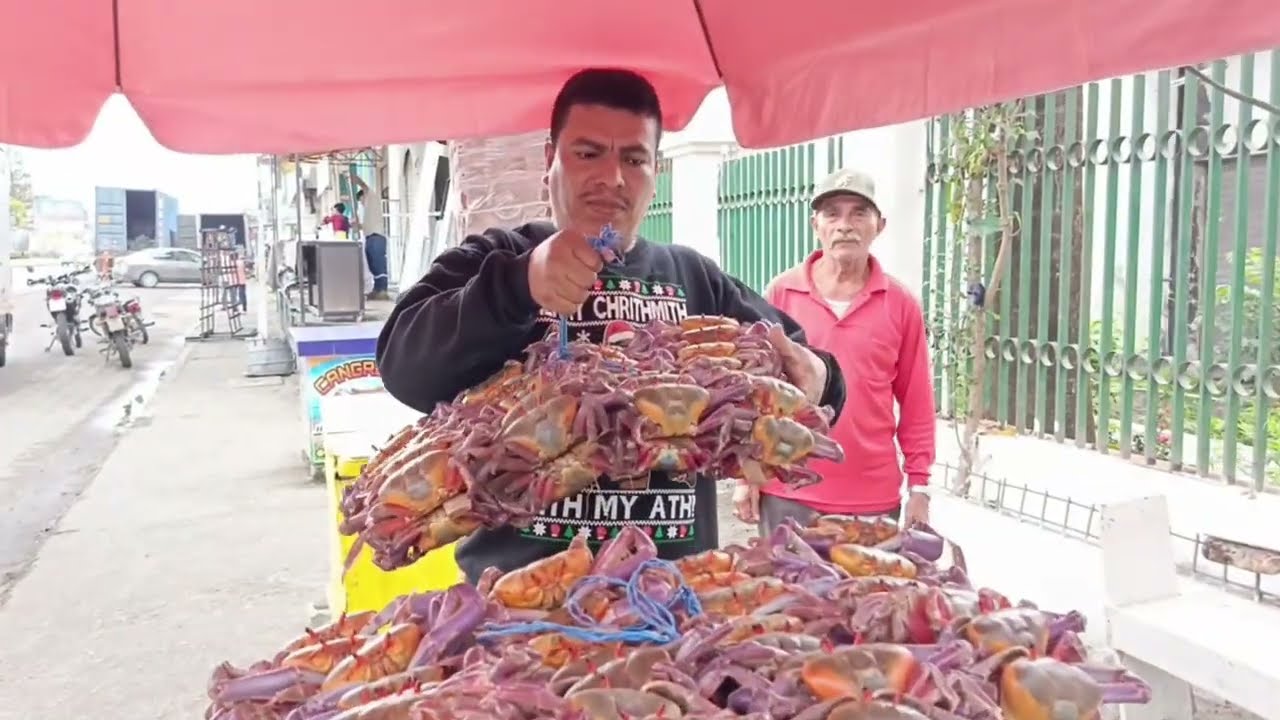 𝗘𝗟 🦀 𝗖𝗔𝗡𝗚𝗥𝗘𝗝𝗢 𝗩𝗨𝗘𝗟𝗩𝗘 𝗔 𝗘𝗦𝗧𝗔𝗥 𝗗𝗜𝗦𝗣𝗢𝗡𝗜𝗕𝗟𝗘 𝗣𝗔𝗥𝗔 𝗘𝗟 𝗖𝗢𝗡𝗦𝗨𝗠𝗢 𝗗𝗘 𝗟𝗔𝗦 𝗣𝗘𝗥𝗦𝗢𝗡𝗔𝗦