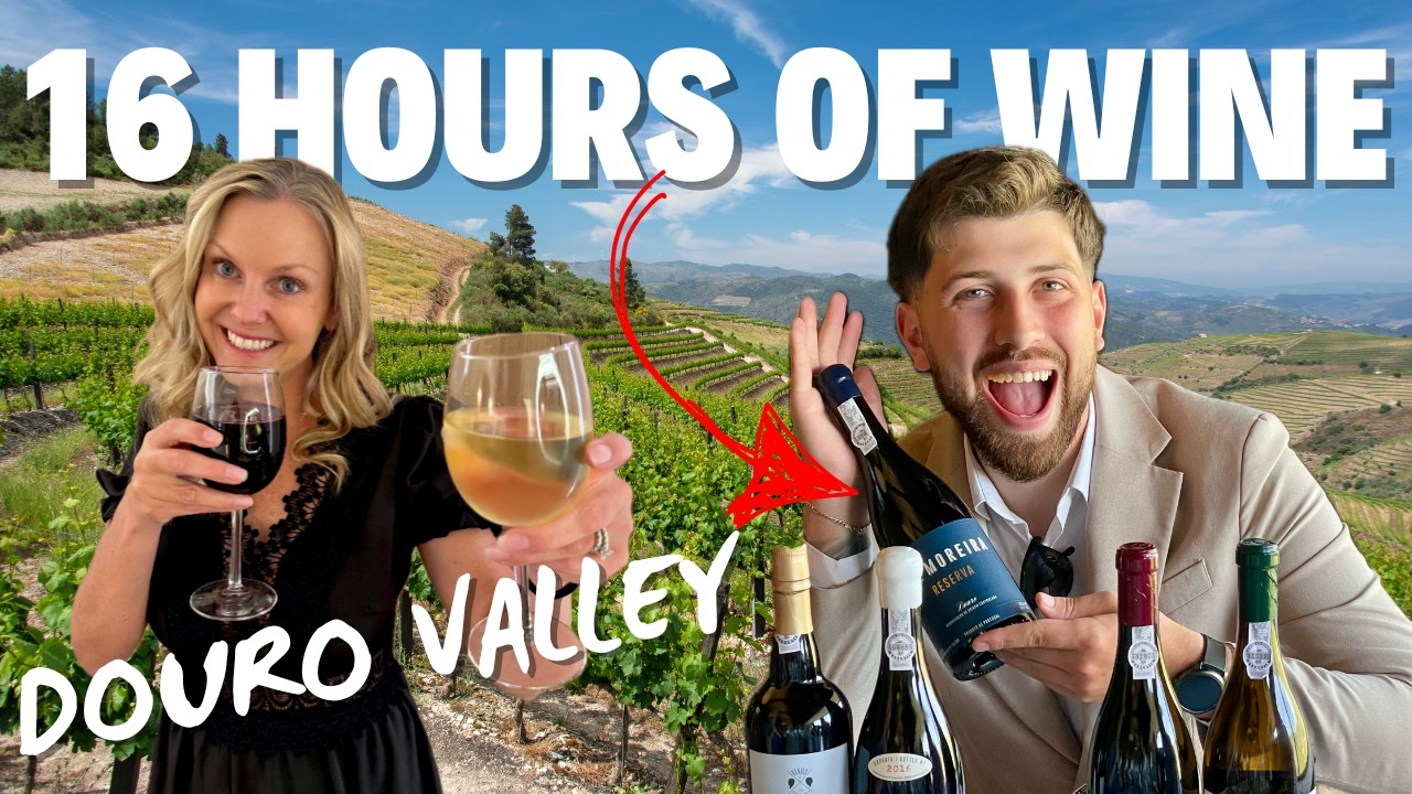 We Survived Douro Valley Portugal&rsquo;s Craziest 16 HR Wine Tour