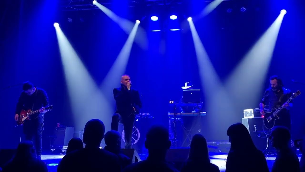 The Arch - Alien Ann