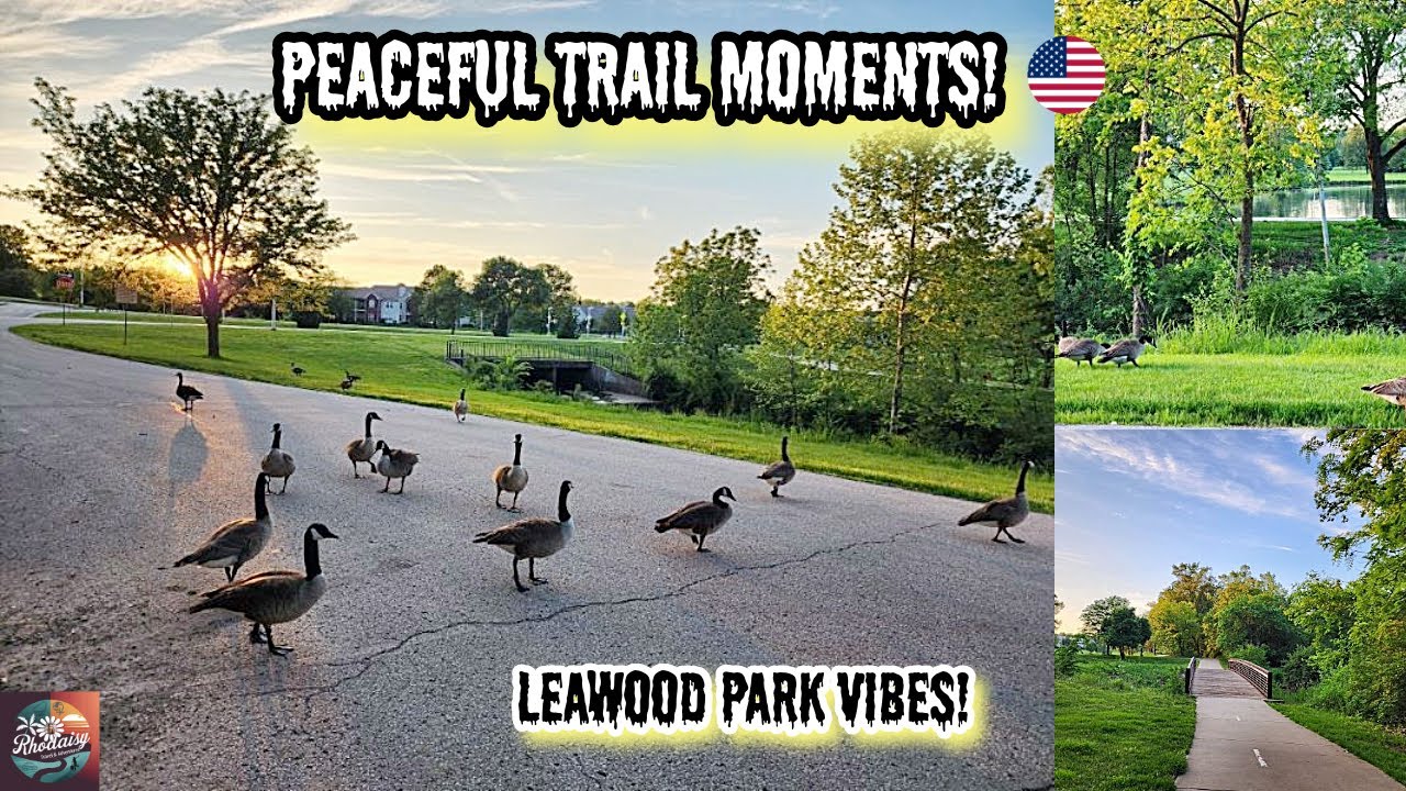 Tomahawk Creek Parkway Lake Park in Leawood, KS | Geese, Lakes & Peaceful Trails! (Part 1) 🇺🇸