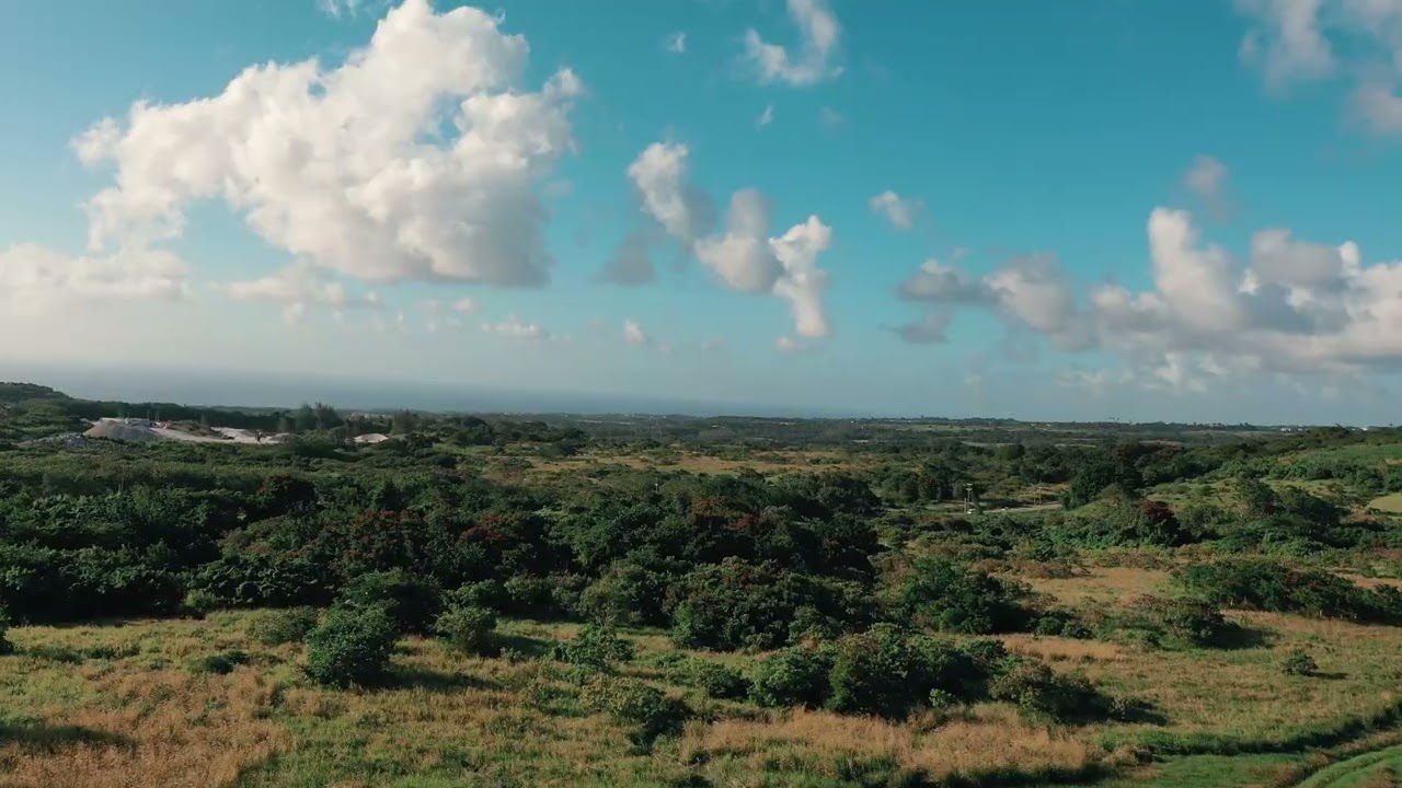 DRONE FLIGHT MODE (  INTRO #1 )
