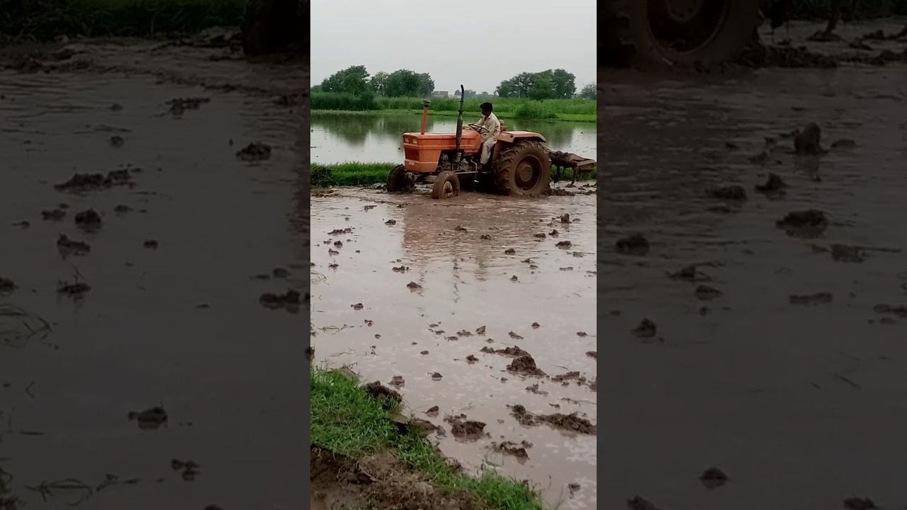 Tractor Tilling in Water | Rice Field Preparation for Paddy Planting
