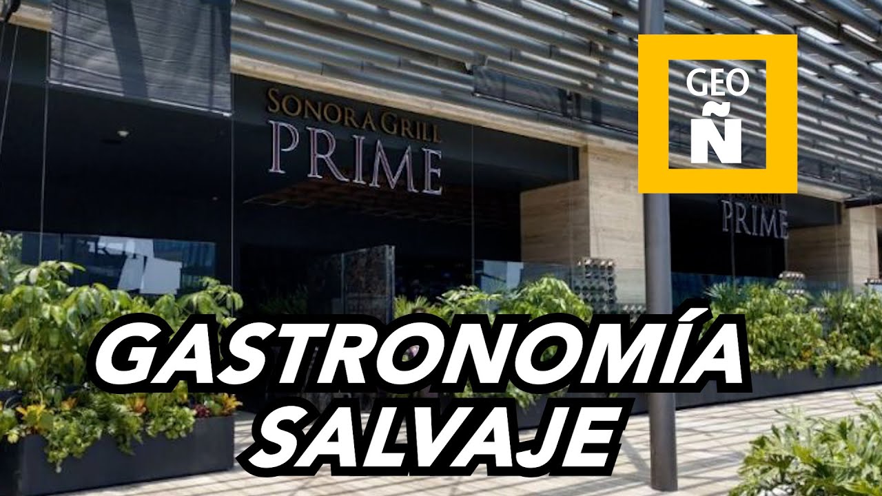 GEOGRAFÍA ÑERA I SONORA GRILL I GASTRONOMÍA SALVAJE