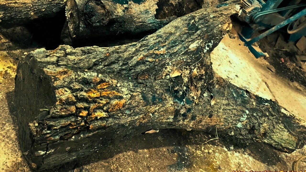 Mango Tree Mastery: Crafting a Live Edge Table with Woodworking Expertise - Unique Wood Creations