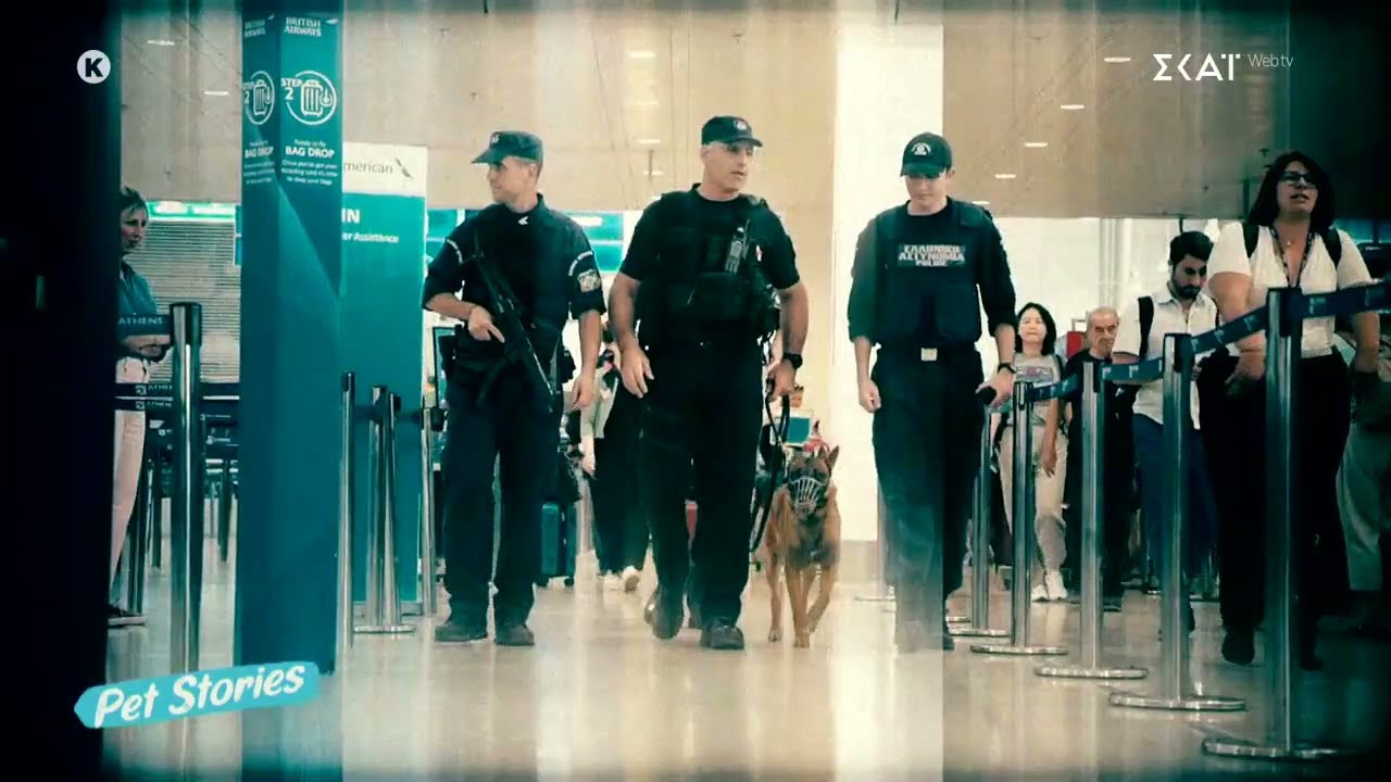 Γνωρίζουμε τους σκύλους της Ελληνικής αστυνομίας | Pet Stories | 20/07/2025