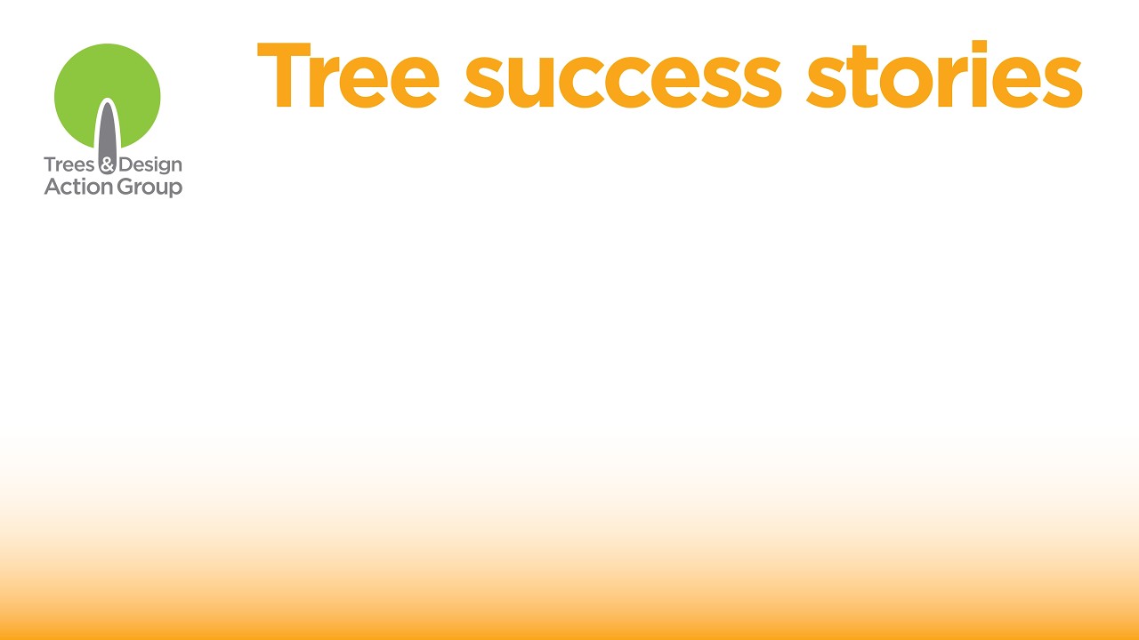 Tree Success Stories
