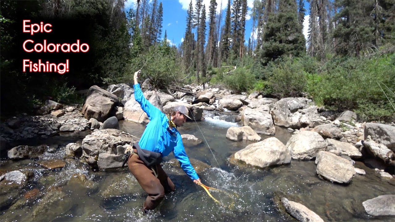 10 лучших мест для рыбалки в Колорадо — McFly Angler Fly Fishing