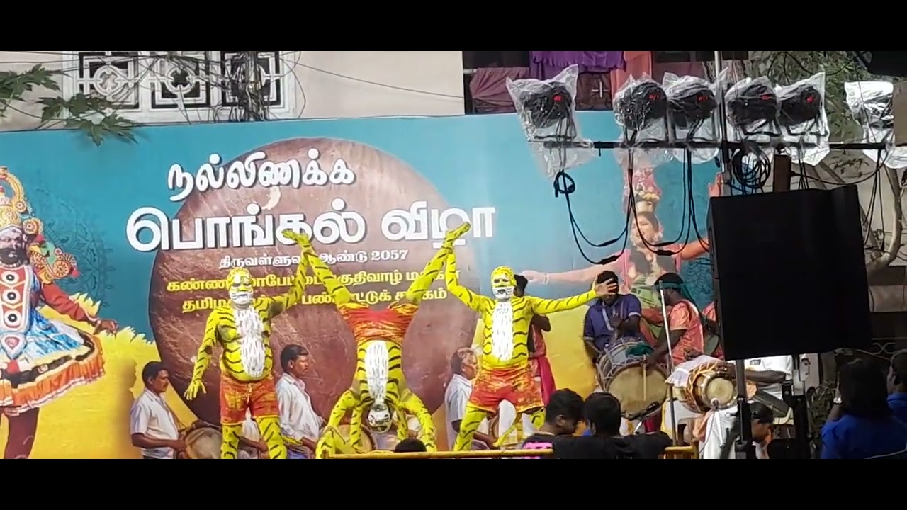 புலியாட்டம்