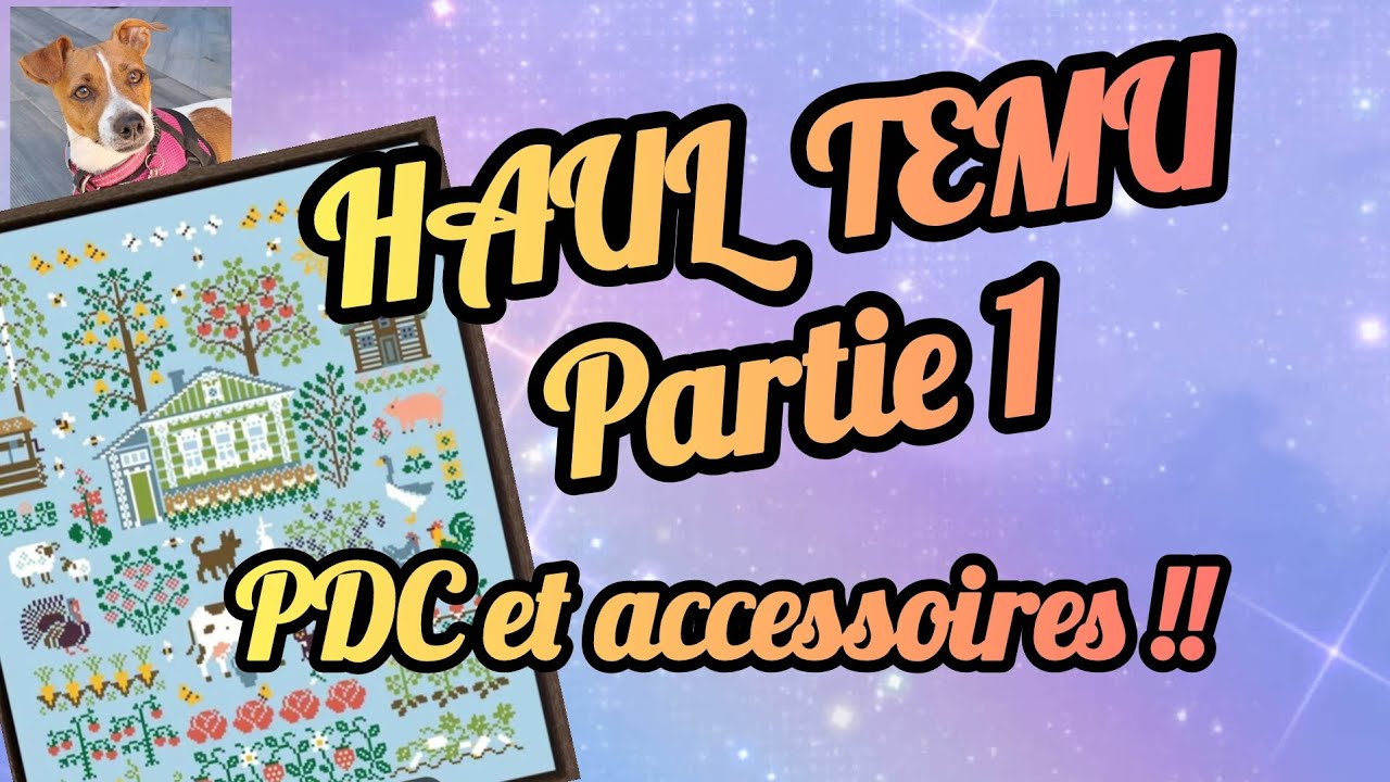 HAUL TEMU PARTIE 1 #pdc #pointdecroix #plaisir #pourtoi #pourtous 