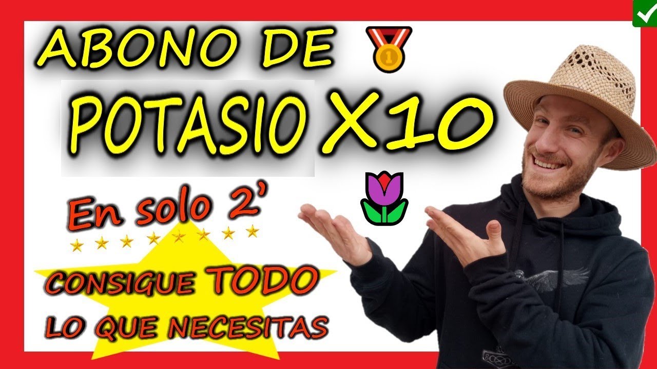 ⭐En Solo 2' el 𝐌𝐄𝐉𝐎𝐑 𝐀𝐁𝐎𝐍𝐎 𝐑𝐈𝐂𝐎 𝐄𝐍 𝐏𝐎𝐓𝐀𝐒𝐈𝐎 🥇  Ceniza ✅