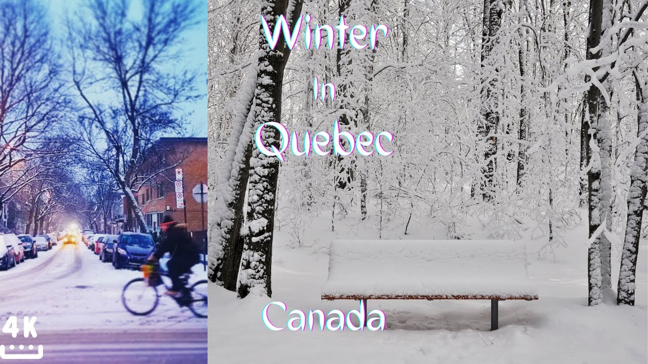 4K Winter in Quebec, Canada| Lofi Hip Hop| Relaxing Beats.  Mùa Đông Quebec, Canada