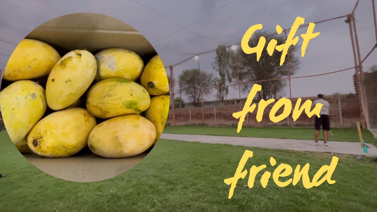 Fresh Mangoes and Cricket Match