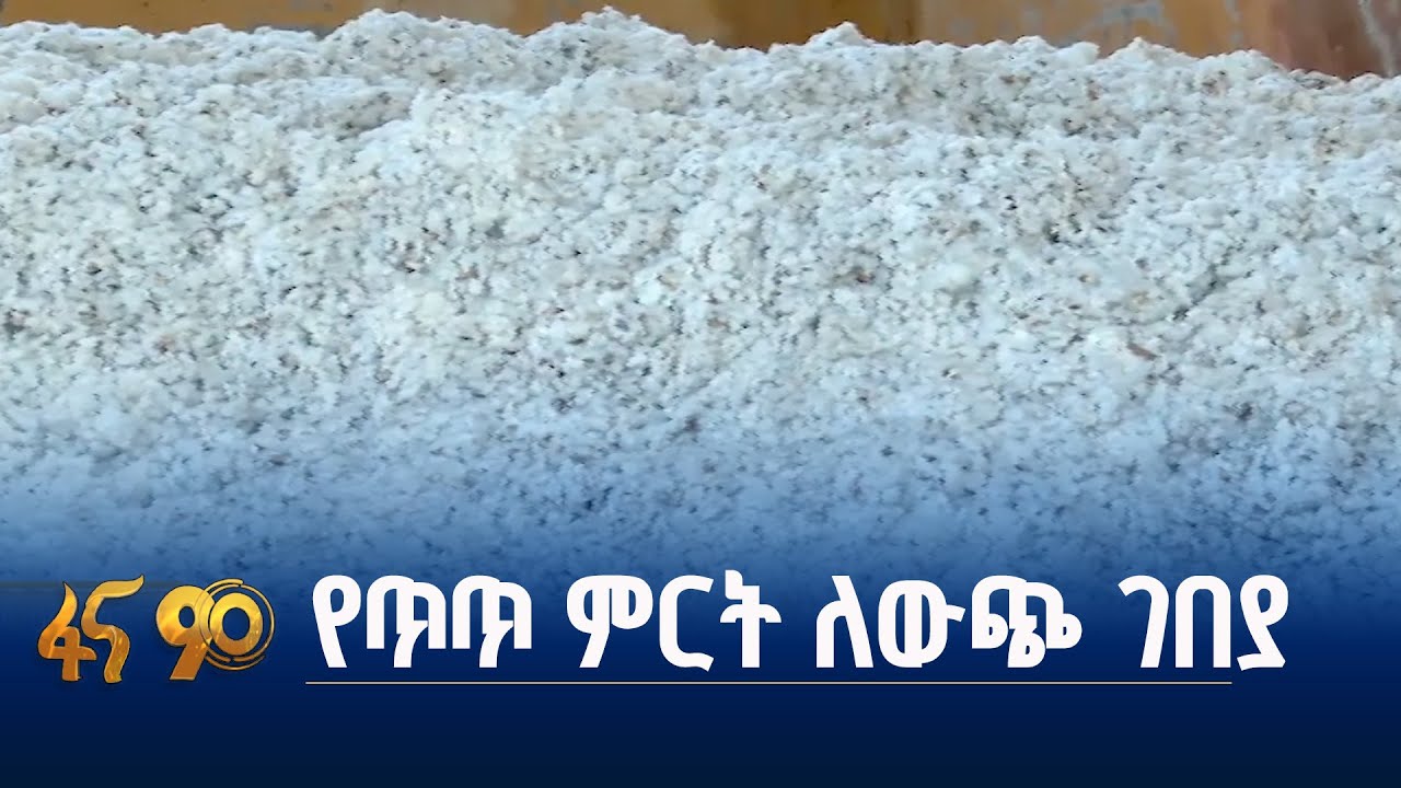 በኢትዮጵያ ትልቁ የጥጥ እርሻ ልማት