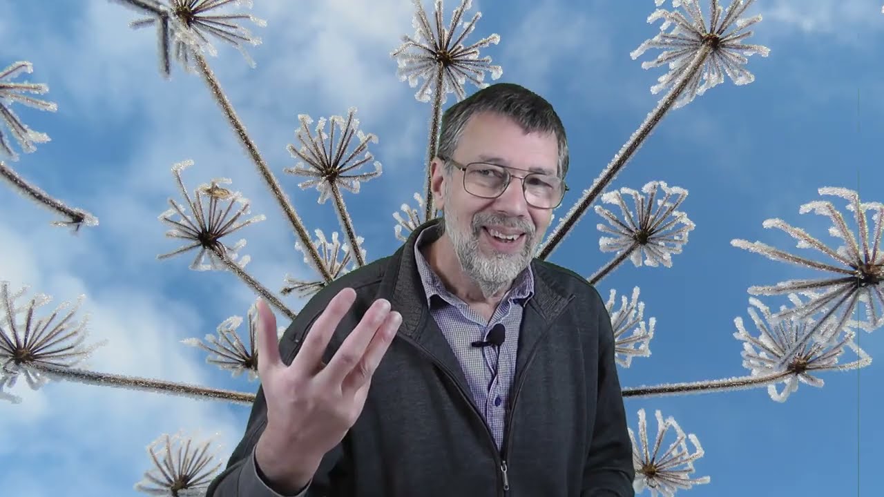 Blijf niet worstelen met je gedrag, ga met God naar de kern van je probleem