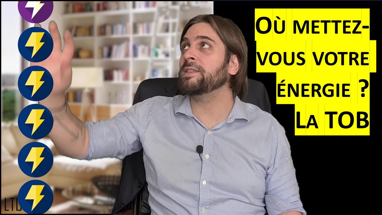 LTC - La Théorie Organisationnelle de Berne
