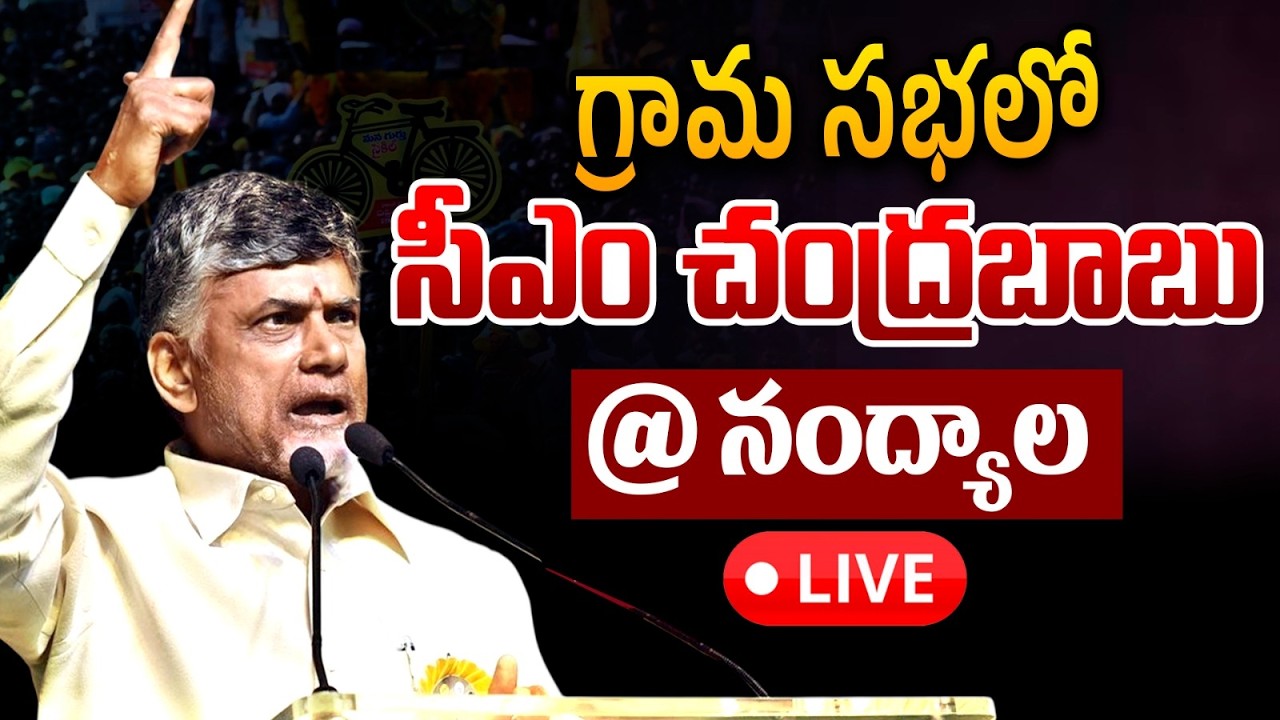 🔴Live : CM Chandrababu Public Meeting : నంద్యాలలో బాబు భారీ పబ్లిక్ మీటింగ్ | TDP | Wild Wolf Telugu