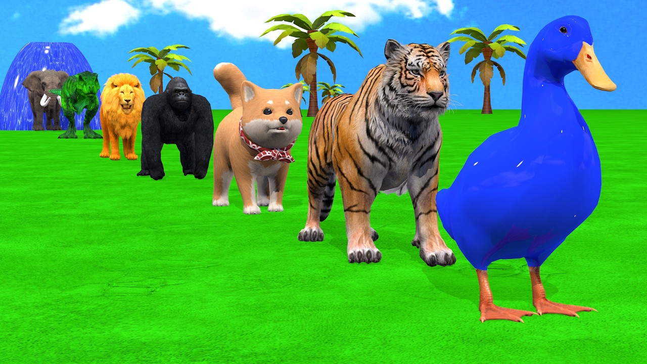Long Slide Game With Cow Elephant Gorilla Hippopotamus Tiger - 3d Animal Game - Funny 3d Animals
