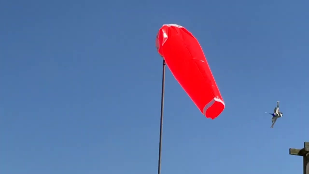 Hector the protector flying out of my vector.