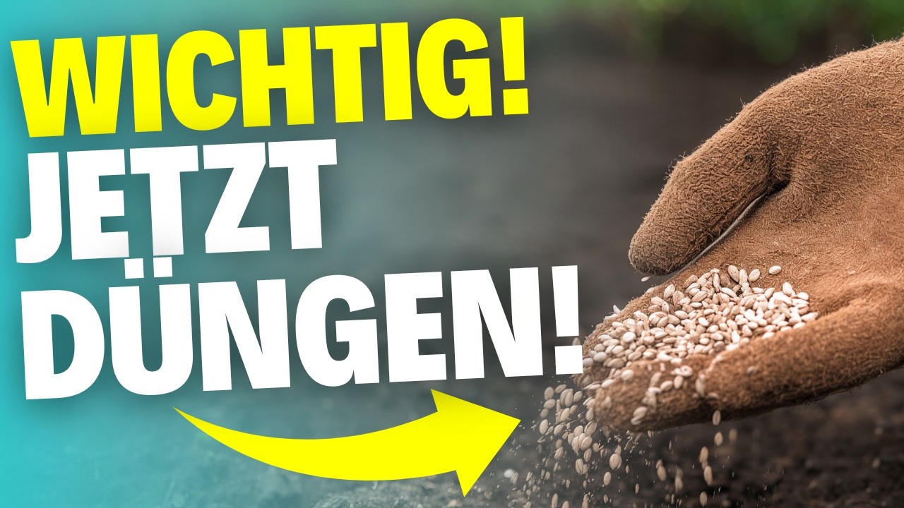 Diese 5 Pflanzen solltest du im Februar unbedingt düngen