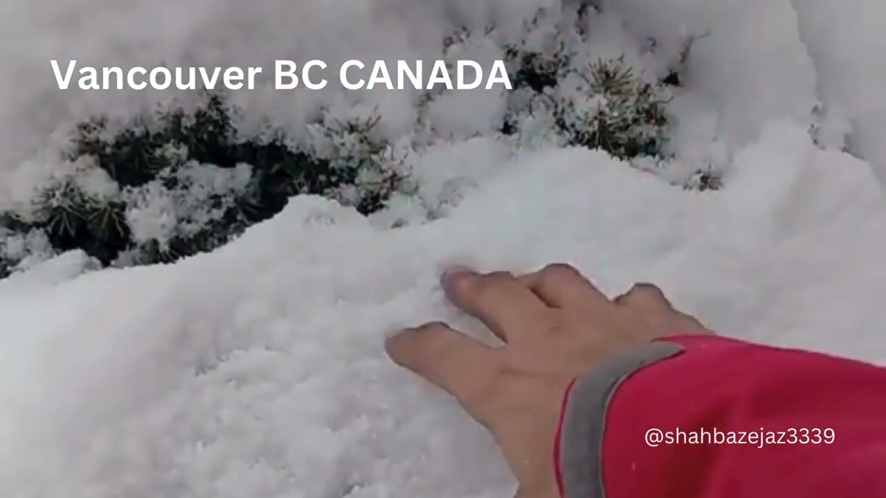 CANADA is Freezing | Massive snowstorm hit Vancouver | BC.