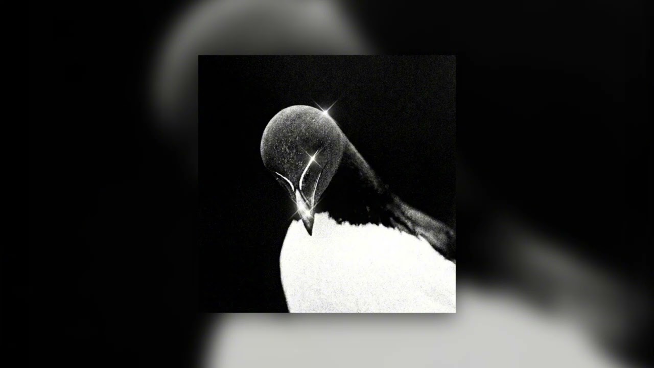 SRXPH - FEELS LIKE (8D Audio)