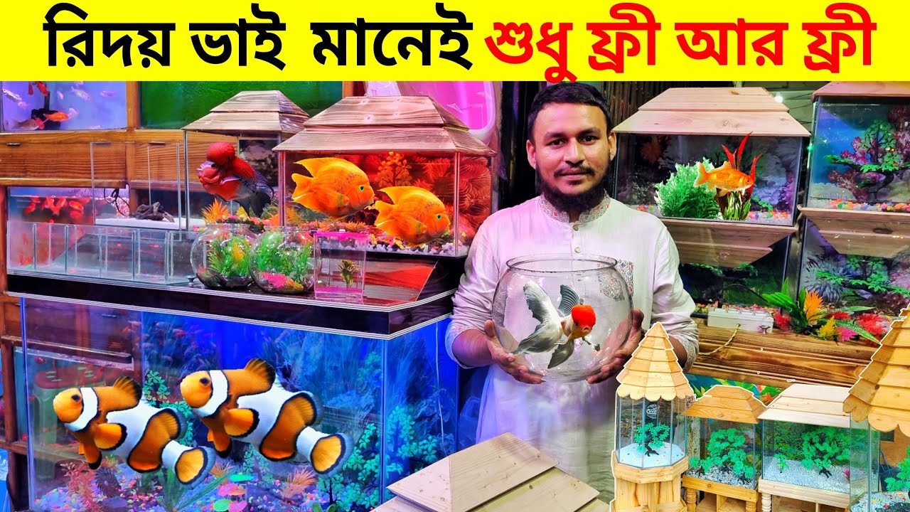 Aquarium Price In Bangladesh। Aquarium Fish Price In katabon। Aquarium Fish Price In Bangladesh