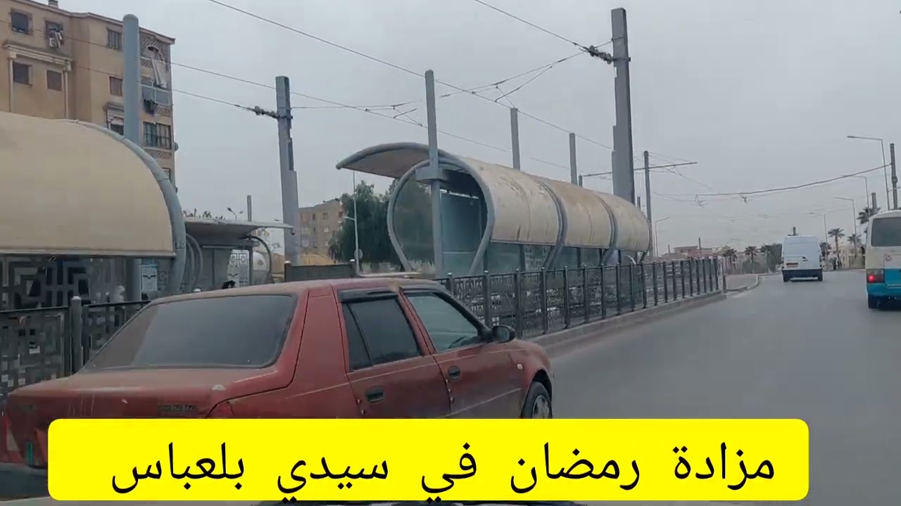 ولاية  سيدي بلعباس  04~03~2026