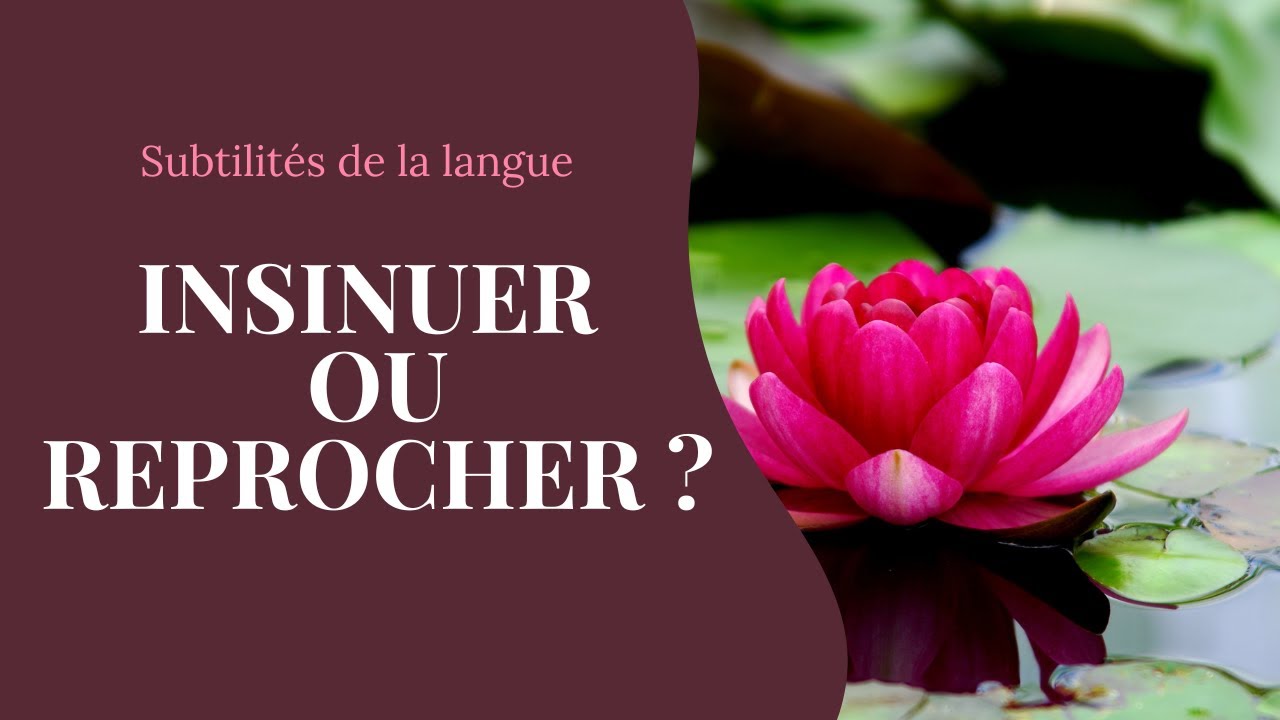 Dire à quelqu'un qu'il n'a pas fait quelque chose : maîtrisez les subtilités de la langue française