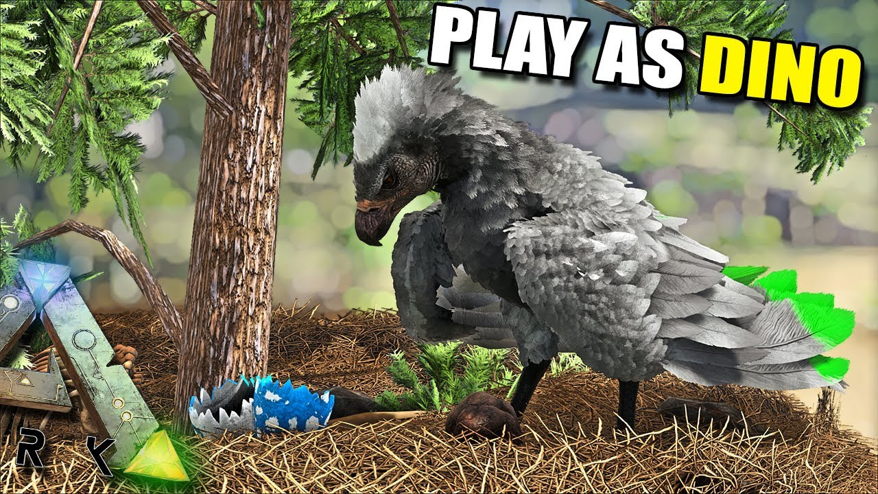 THE ARGY CAN MAKE TREE NESTS | PLAY AS DINO | ARK SURVIVAL EVOLVED