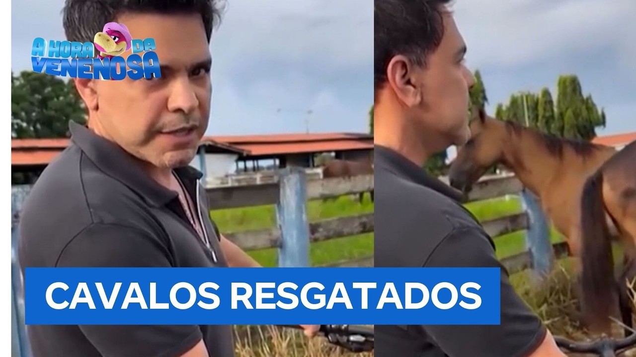 Zezé di Camargo mostra cavalos resgatados que sofriam maus-tratos