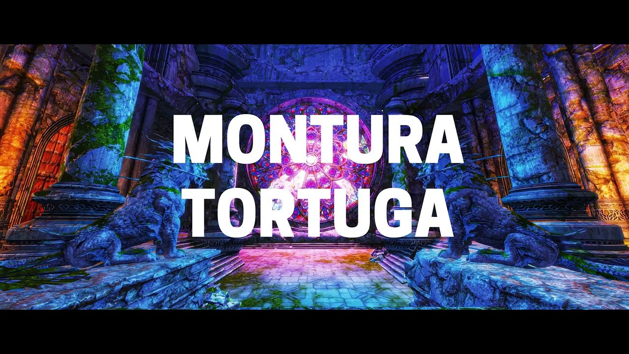 Logros para la Montura Tortuga - Parte 1