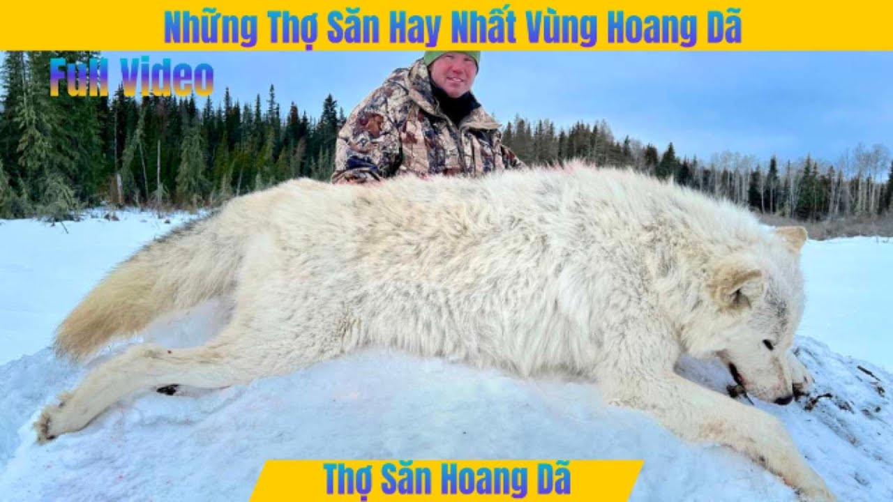 [Full Video] Khám Phá Thế Giới Săn Bắn: Những Tay Súng Hàng Đầu Nơi Hoang Dã || Gấu Ca Review