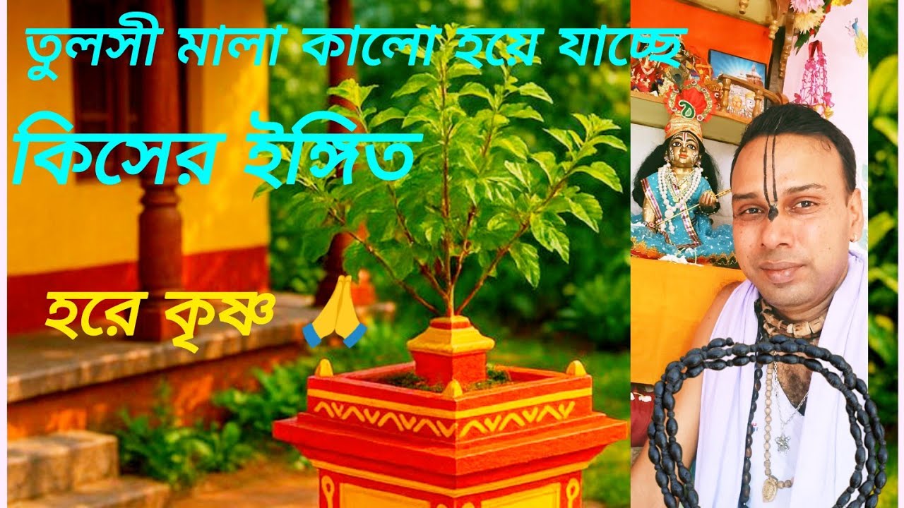 তুলসী মালা কালো হওয়া কিসের ইঙ্গিত। How can tulsi mala become black. What is hint. #youtube #channel