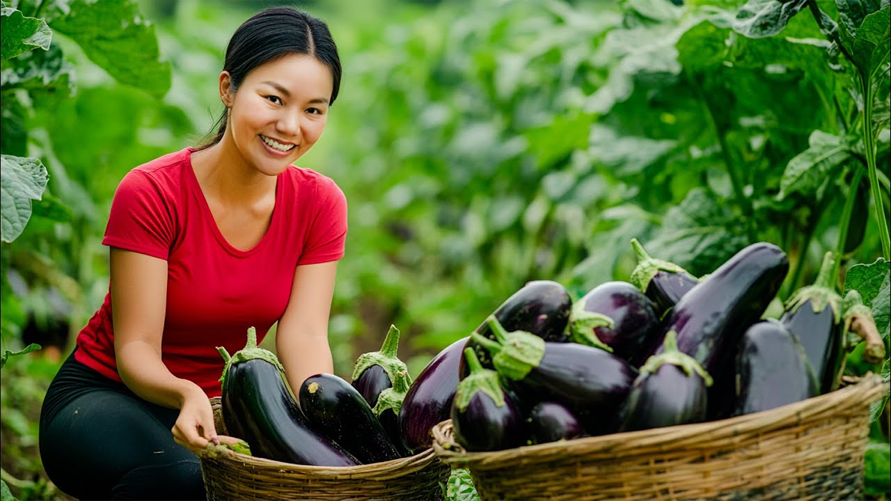 Harvesting Eggplants & Go to Market Sell – Surprising Discovery of the Giant Komodo Dragon D.I.E.D