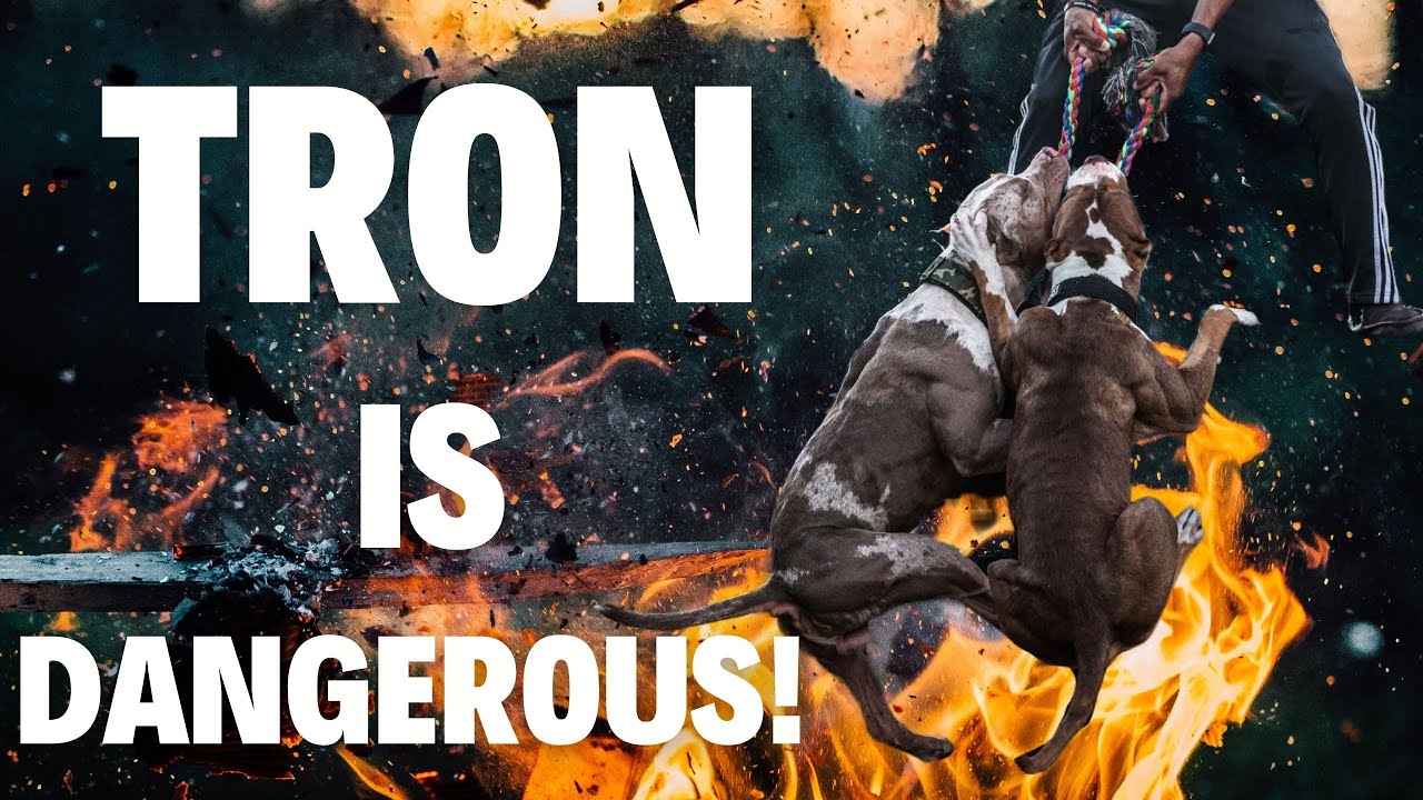Tron is Dangerous- WHY!?!?!