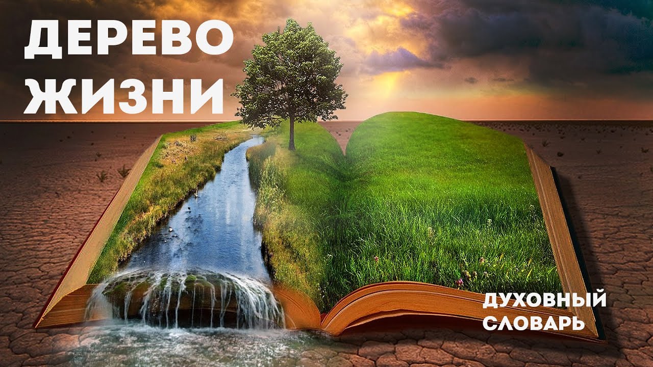 Дерево Жизни | Духовный словарь | Уроки ЧистоПисания